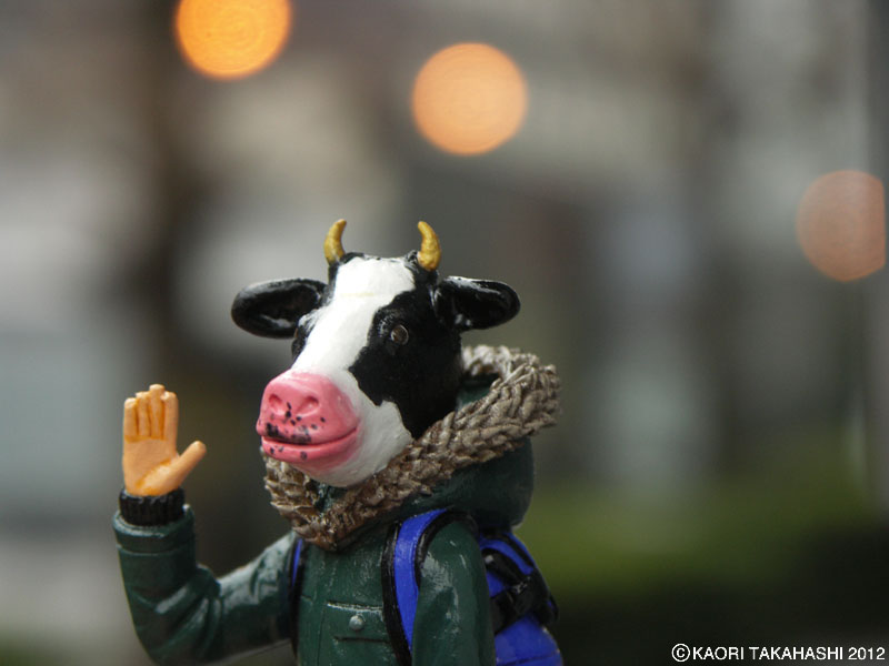 �n�^���N�^�J�n�V