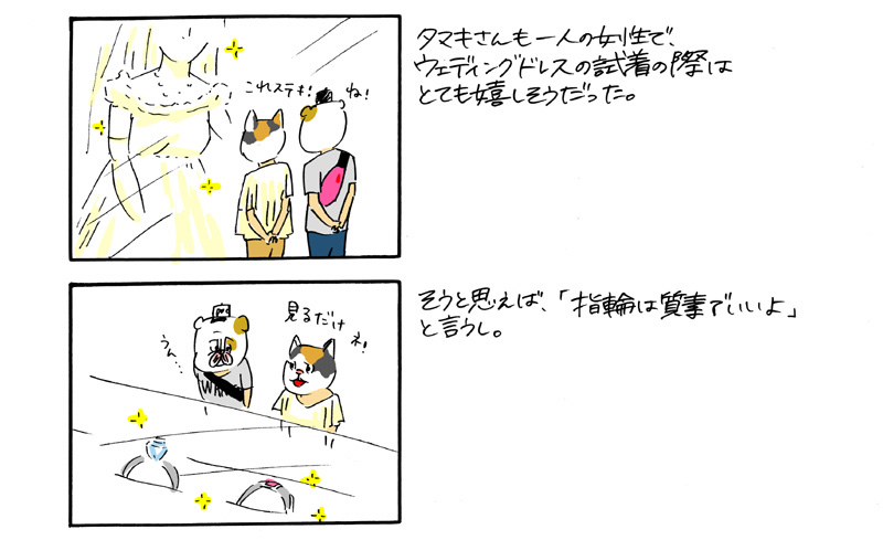 �^�J�n�V�̌���