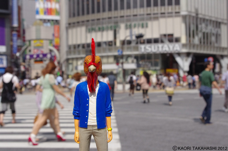 �^�J�n�V�̌���