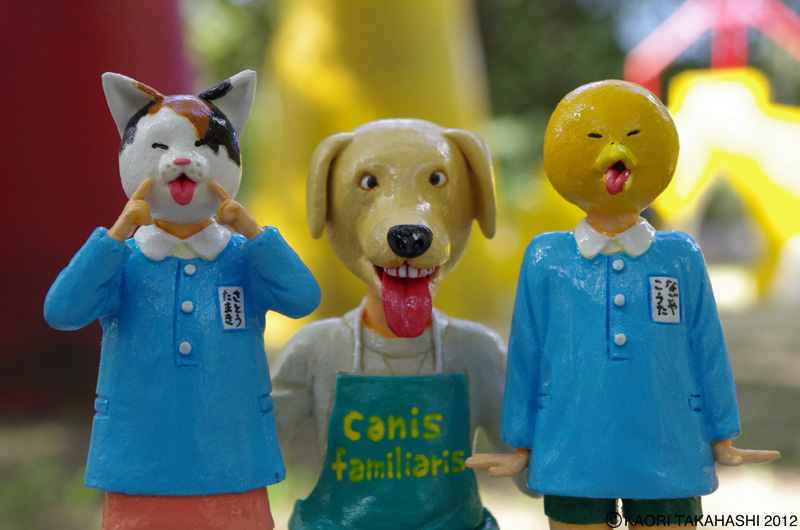 �^�J�n�V�̌���