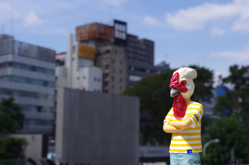 �^�J�n�V�̌���