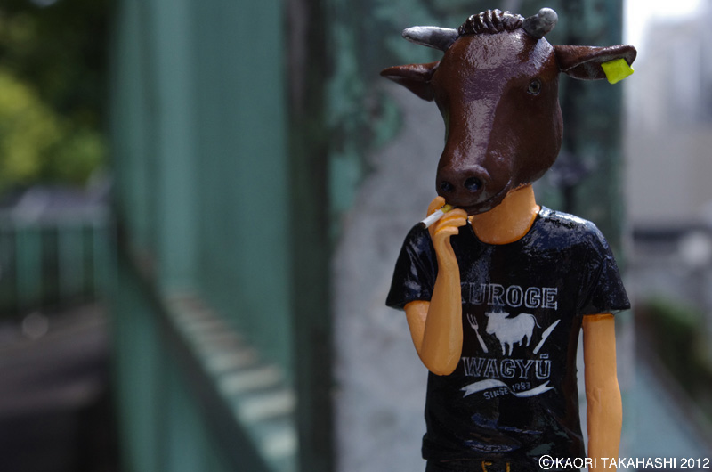 �^�J�n�V�̌���