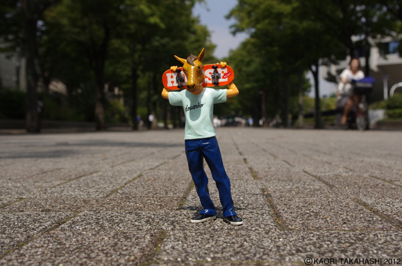 �^�J�n�V�̌���